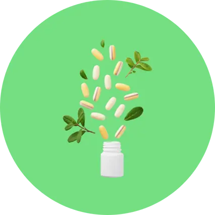 Compléments Spécifiques